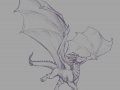 1337629022.curiodraco_kaledragonsketchcr.jpg